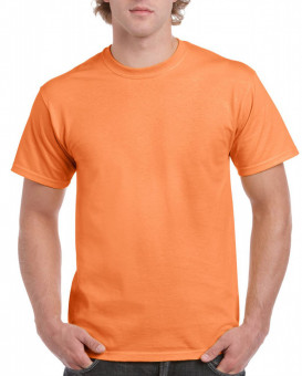 GI2000 ULTRA COTTON™ ADULT T-SHIRT