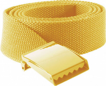 KP802 POLYESTER BELT