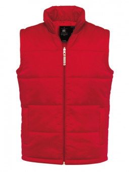 Bodywarmer / Men